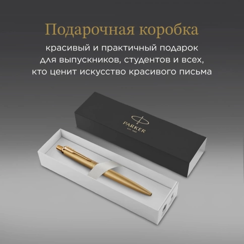 Шариковая ручка Parker Jotter Monochrome XL SE20 (2122754); зол.мат. M; син. черн.; подар.кор. фото 11