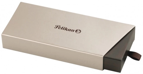 Ручка перьевая Pelikan Elegance Classic M200 (PL808880) Brown Marbled F перо сталь нержавеющая/позолота карт.уп. фото 6
