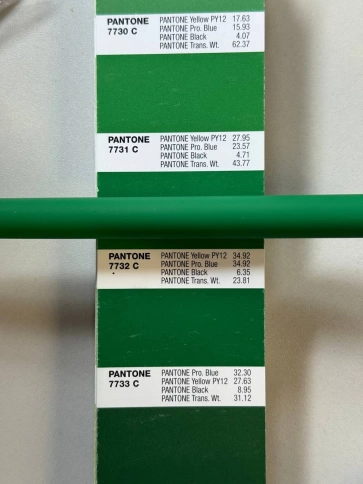 Ручка пластиковая шариковая IGLA SOFT, тёмно-зелёная фото 3