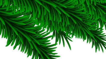 Режим работы в новогодние праздники 2026 года.