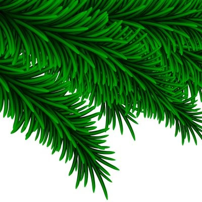 Режим работы в новогодние праздники 2026 года.